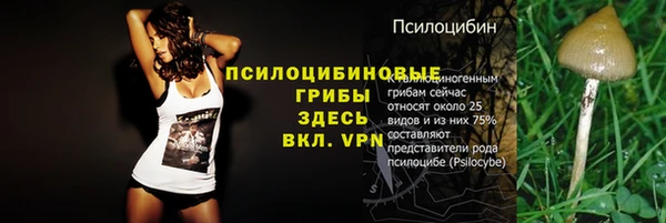 марки lsd Белокуриха
