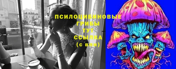 дмт Беломорск