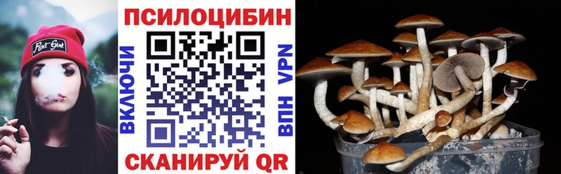 Псилоцибиновые грибы Psilocybine cubensis купить закладку Верхотурье